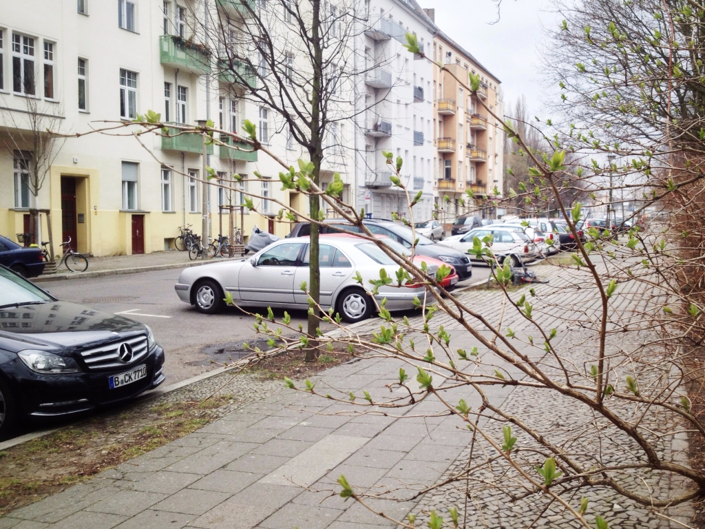 Green Buds on Falkplatz