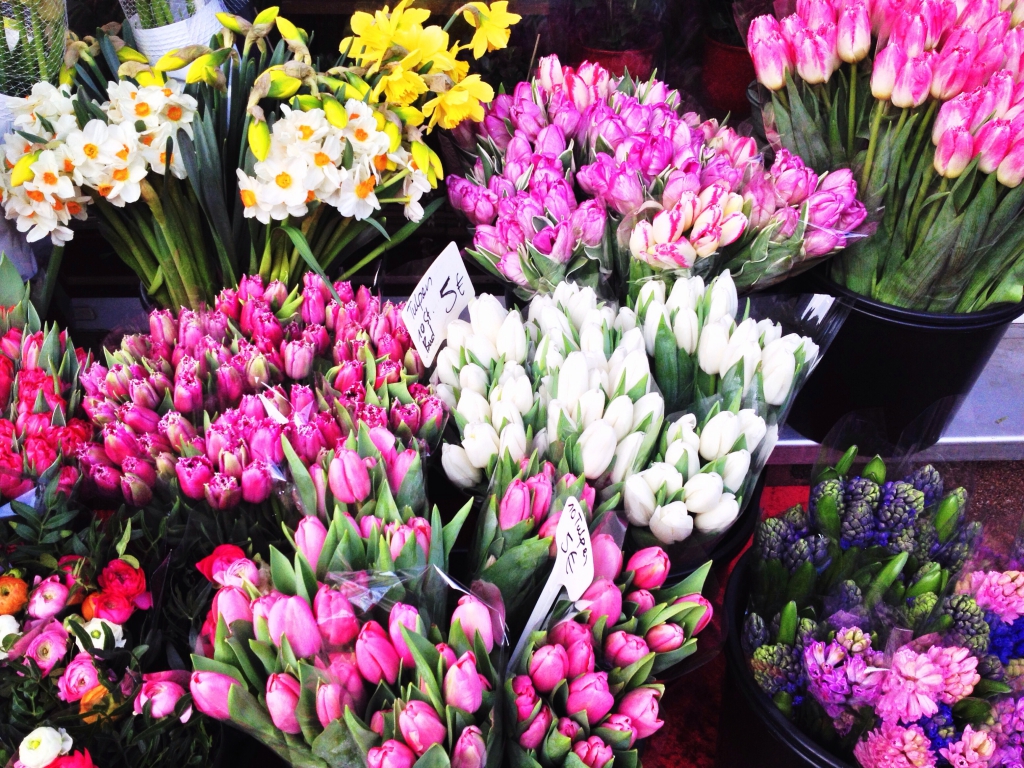 Tulips on Torstraße