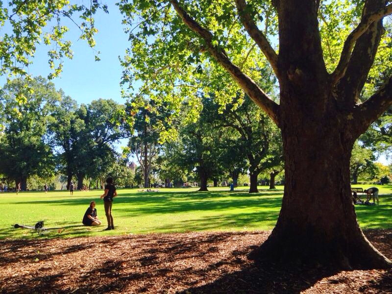 Carlton Gardens