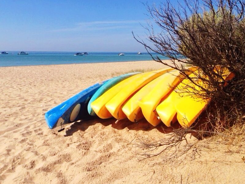 Kayaks Shelley Beach