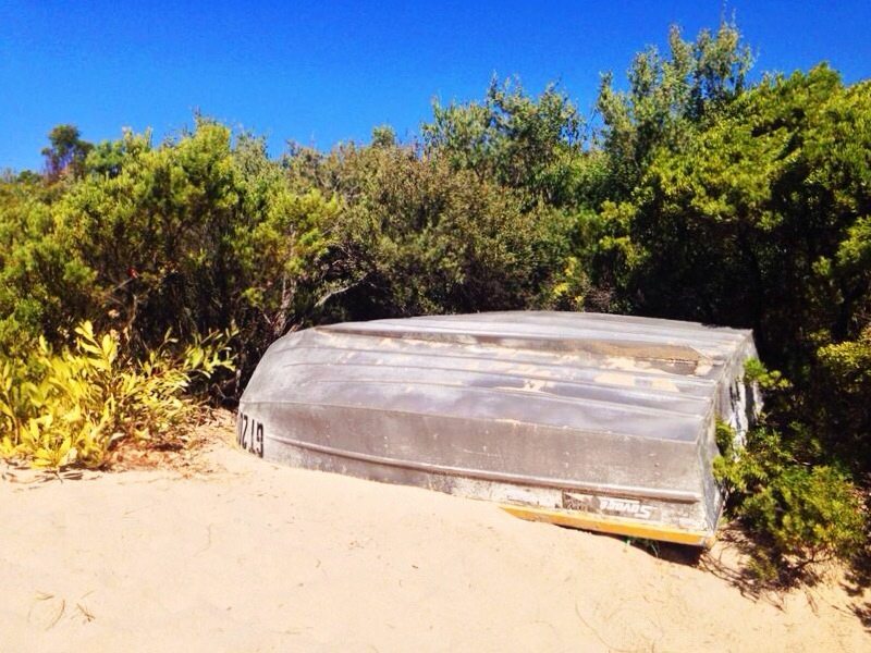 Tin Boat Shelley Beach