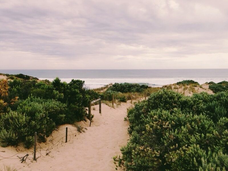 Portsea Beach View 2