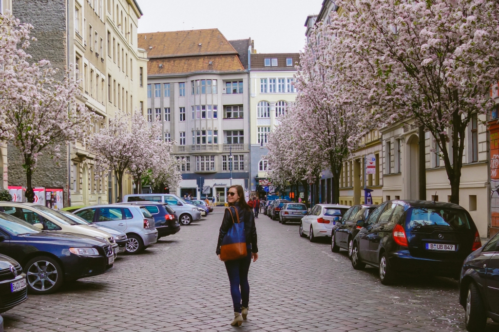 Berlin Cherry Blossoms