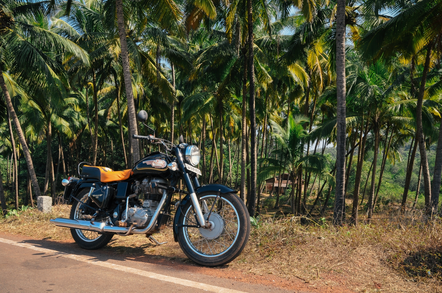Motorcycle Riding in Goa