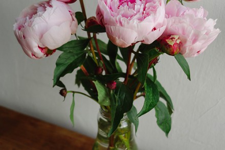 Peonies