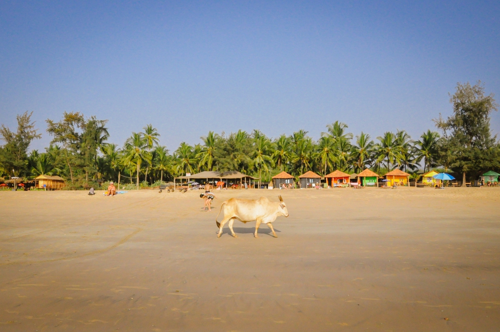 Agonda Beach, Goa, India
