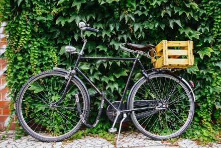 Bicycle, Berlin