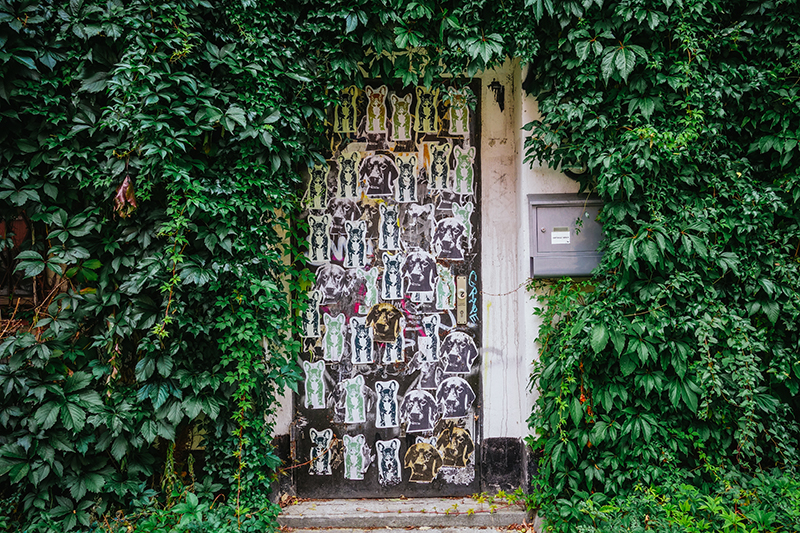 Door of Dogs, Berlin