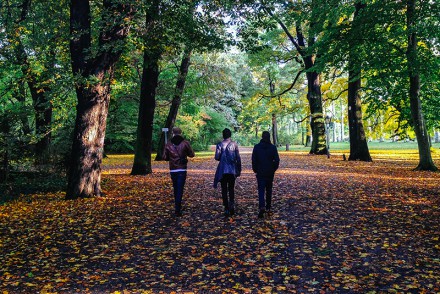 Autumn in Berlin