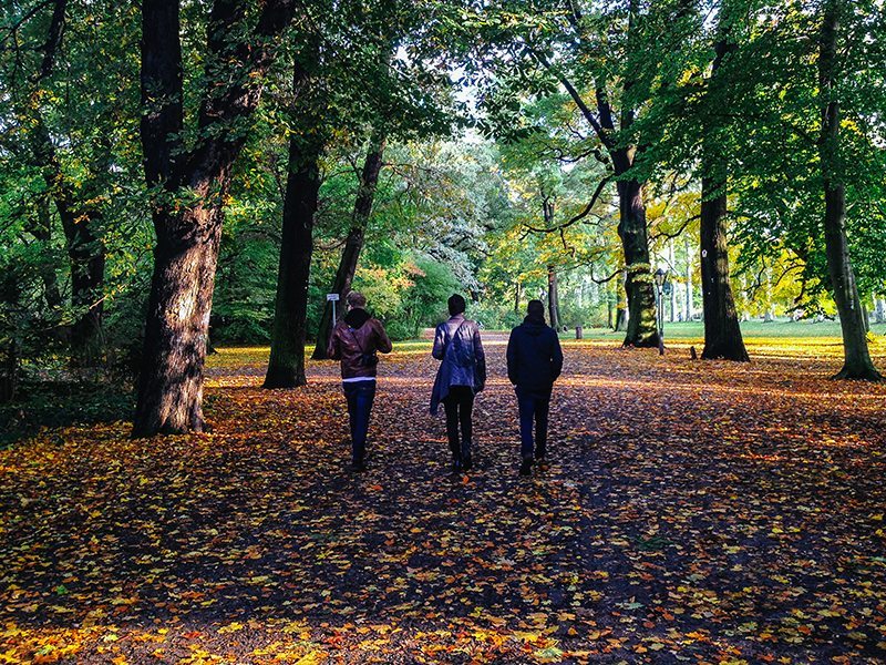 Autumn in Berlin