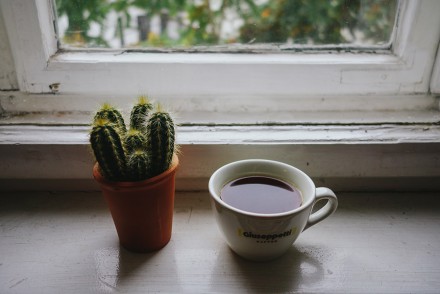 Coffee at home, Berlin