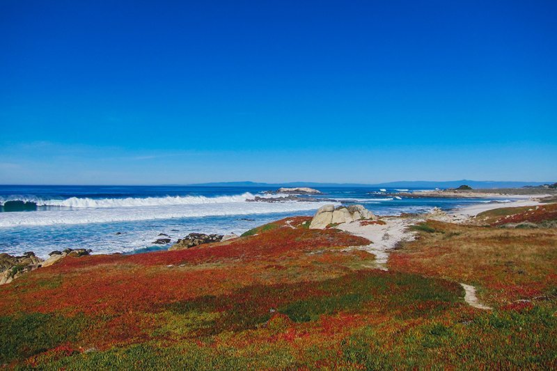 17 Mile Drive, Pacific Coast Highway, California