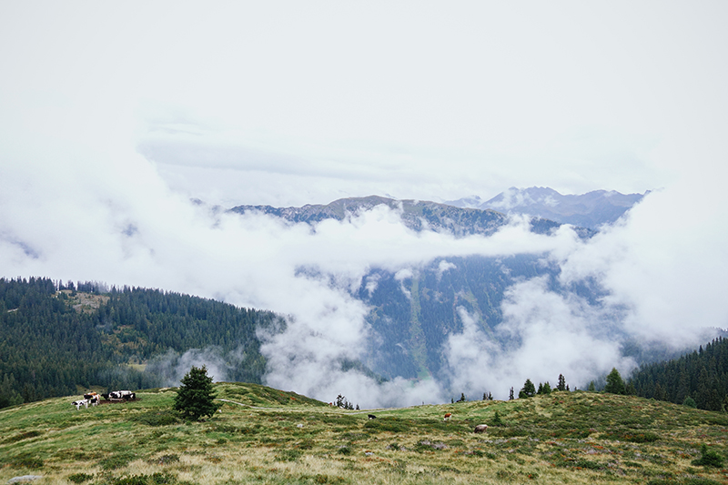 European road trip view, Austria