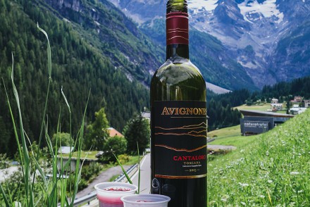 Picnic in the alps