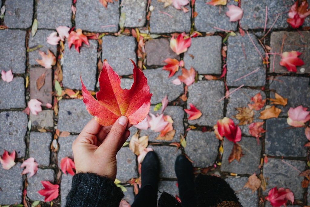 Autumn in Berlin