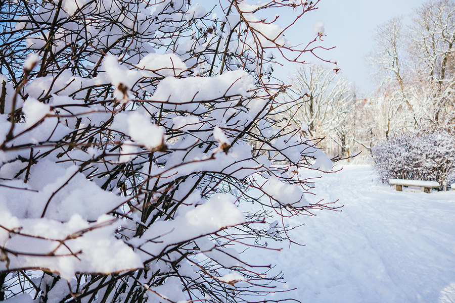 Berlin fresh snow