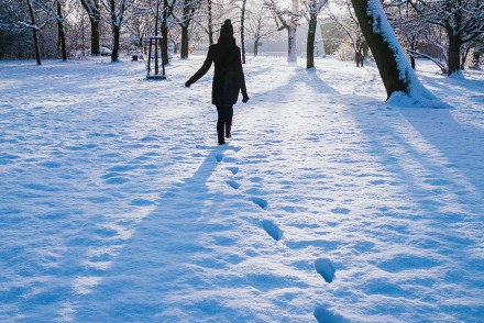 A walk in the snow in Berlin, winter