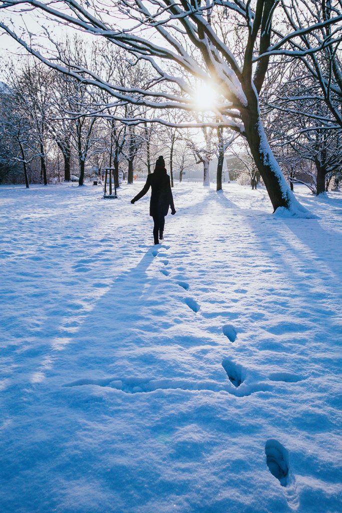 A walk in the snow in Berlin, winter