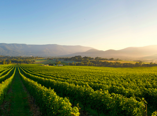 Yarra Valley