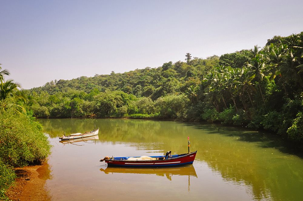 Backwaters