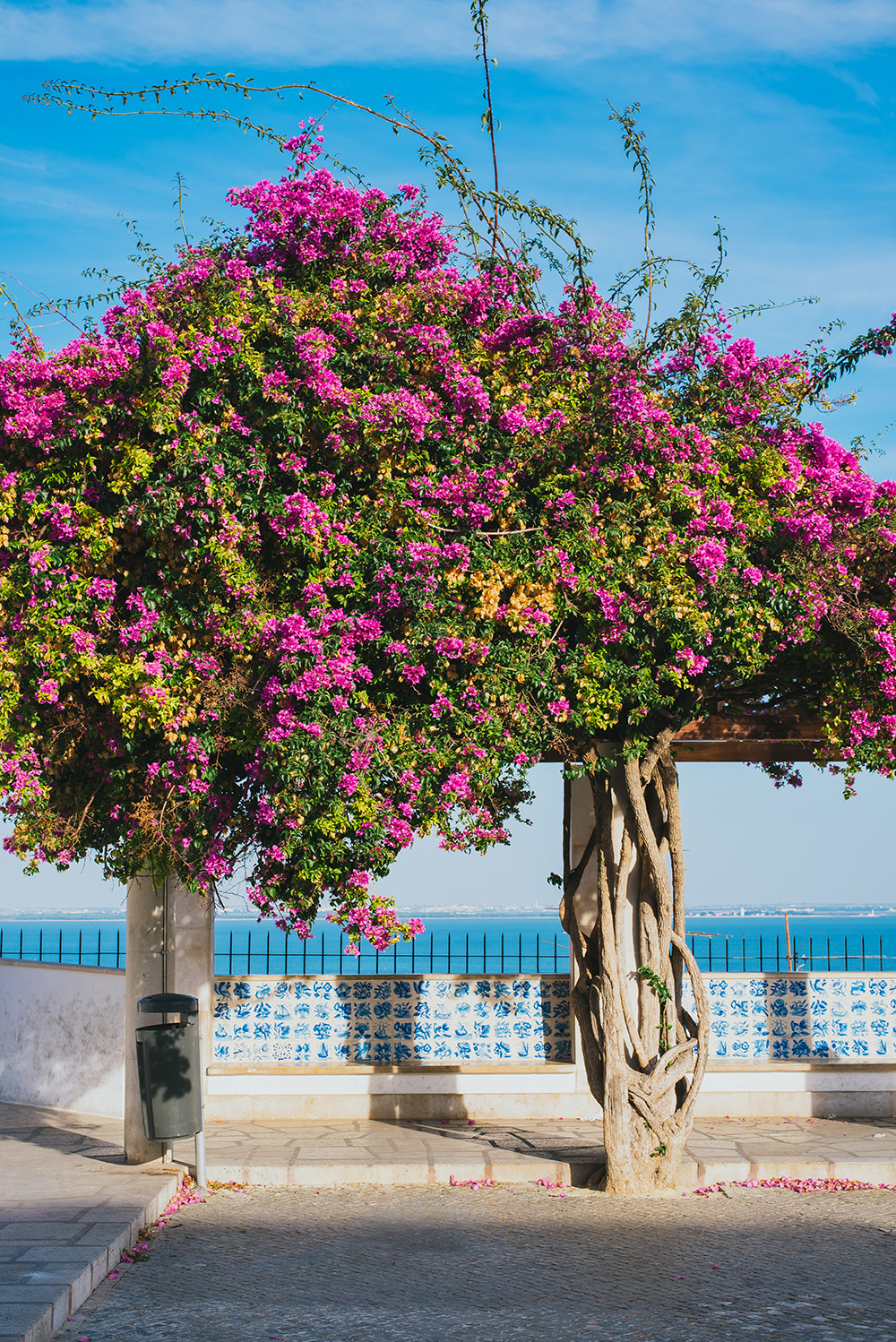 alfama_viewpoint