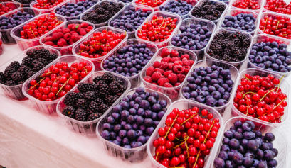 travel_snacks_berries