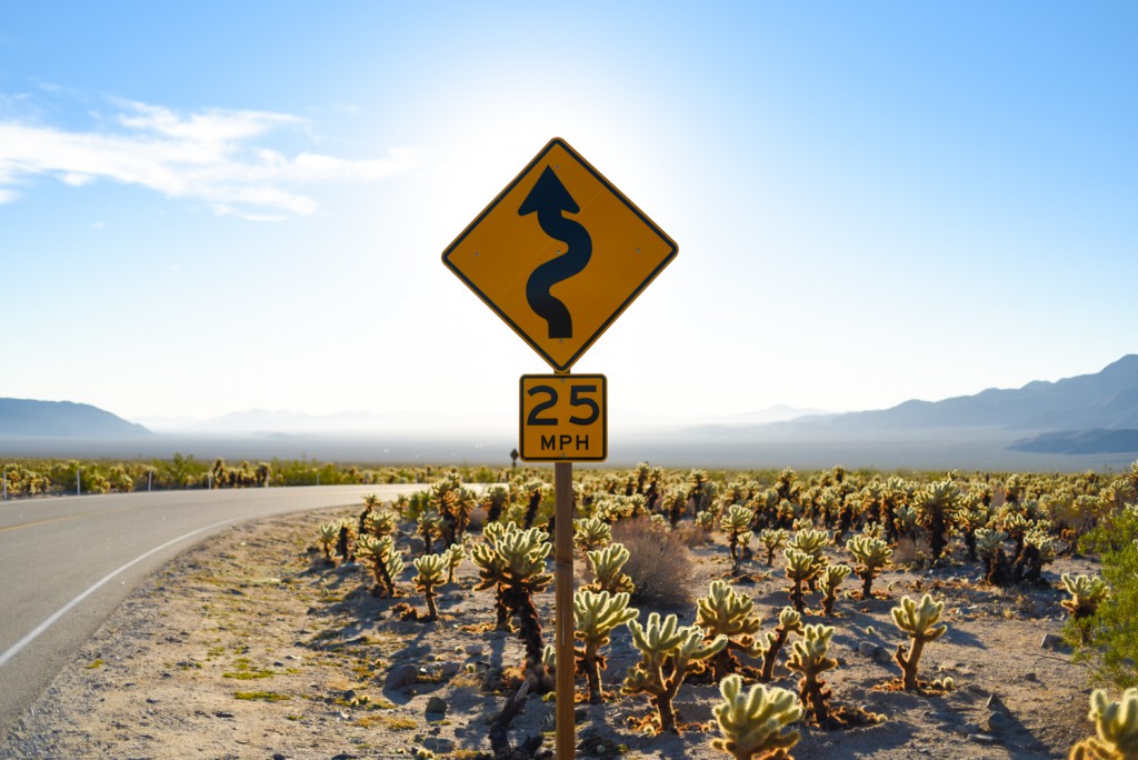 how_to_have_an_epic_weekend_at_joshua_tree_national_park_sunrise