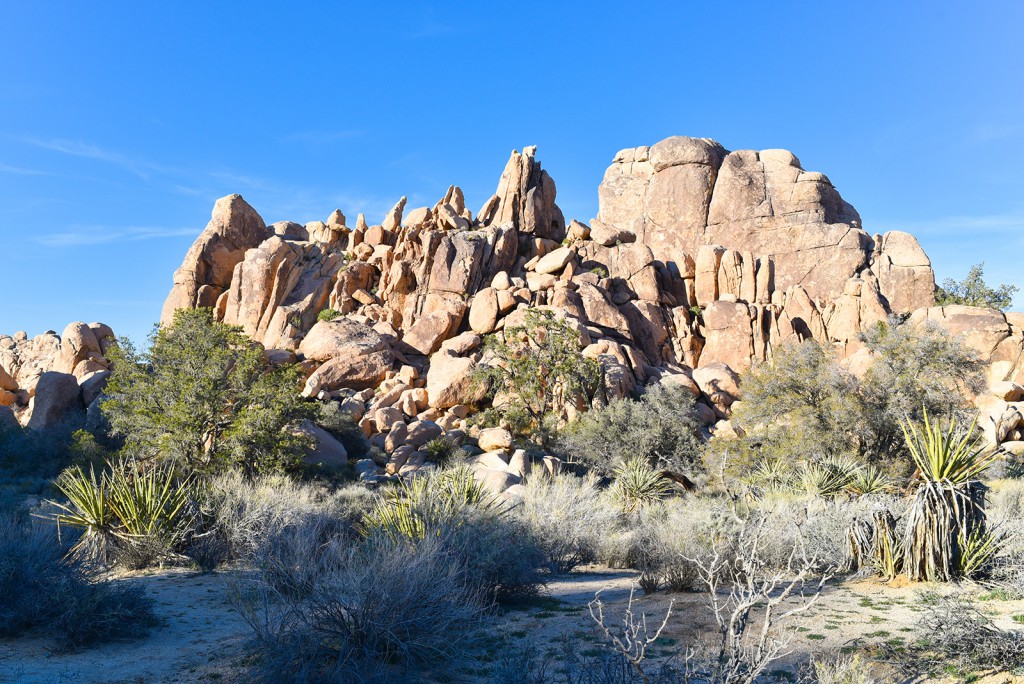 how_to_have_an_epic_weekend_at_joshua_tree_national_park_hiking