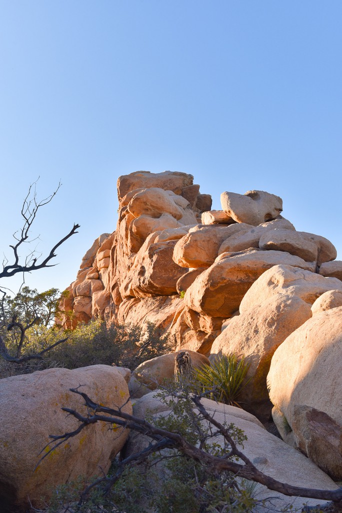 how_to_have_an_epic_weekend_at_joshua_tree_national_park_hiking