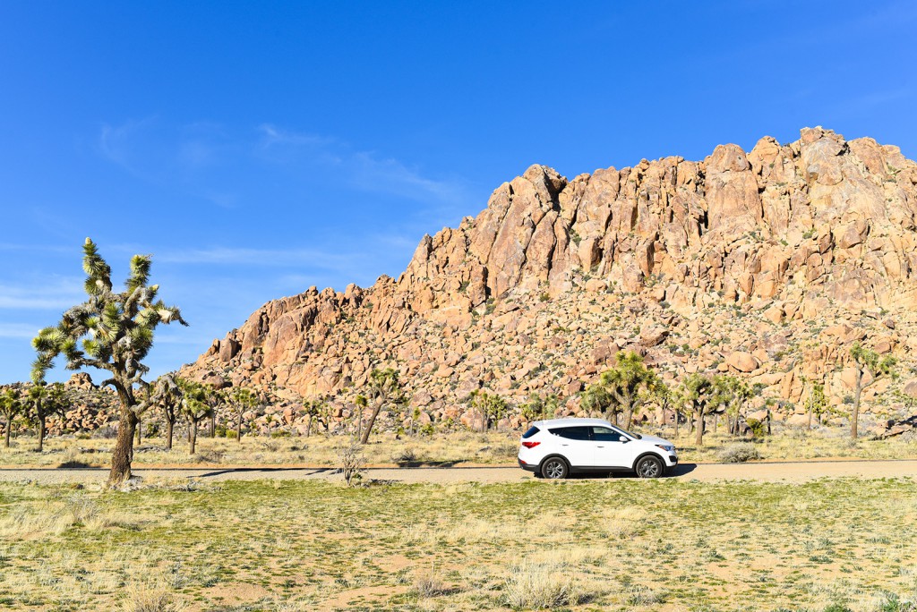 how_to_have_an_epic_weekend_at_joshua_tree_national_park