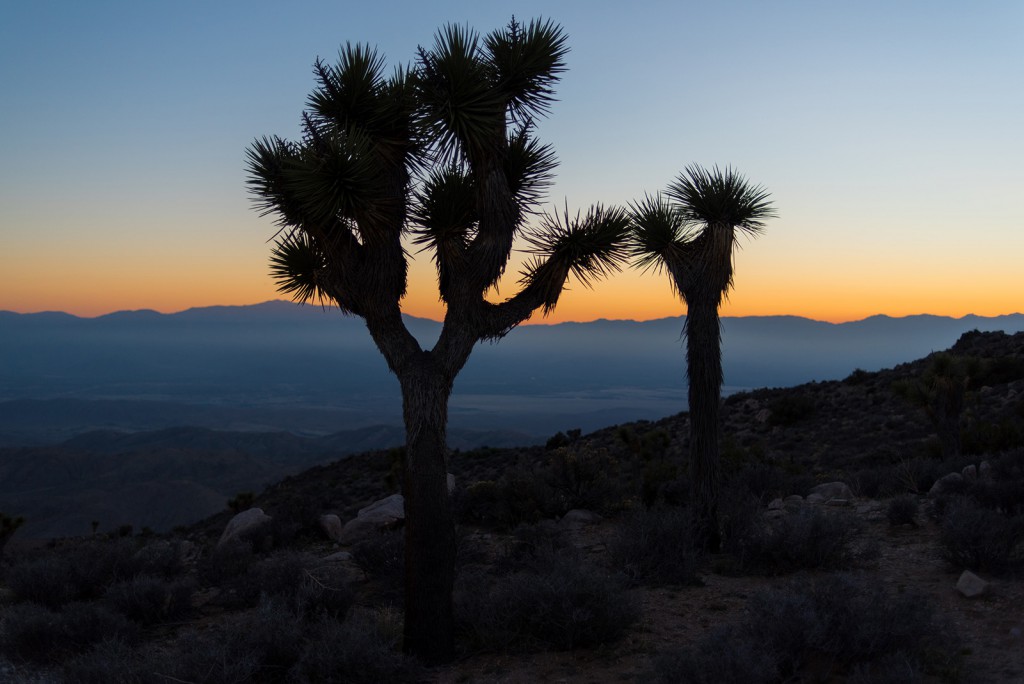 how_to_have_an_epic_weekend_at_joshua_tree_national_park_sunset