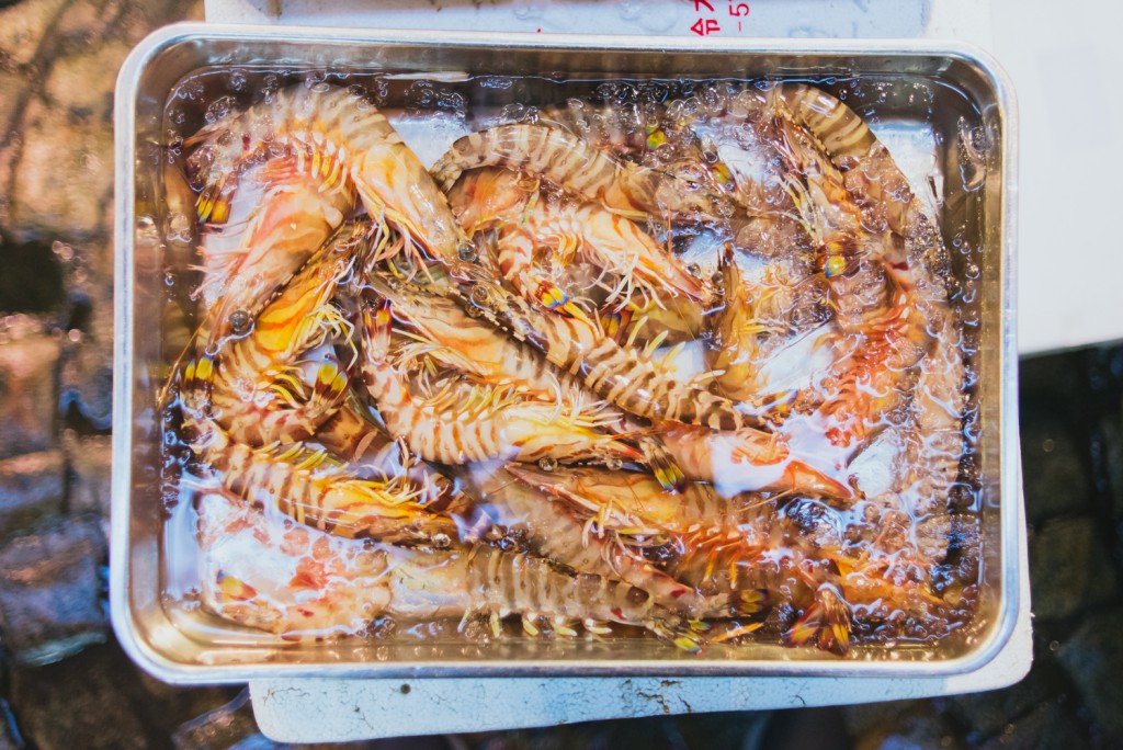 guide_to_the_tsukiji_fish_market