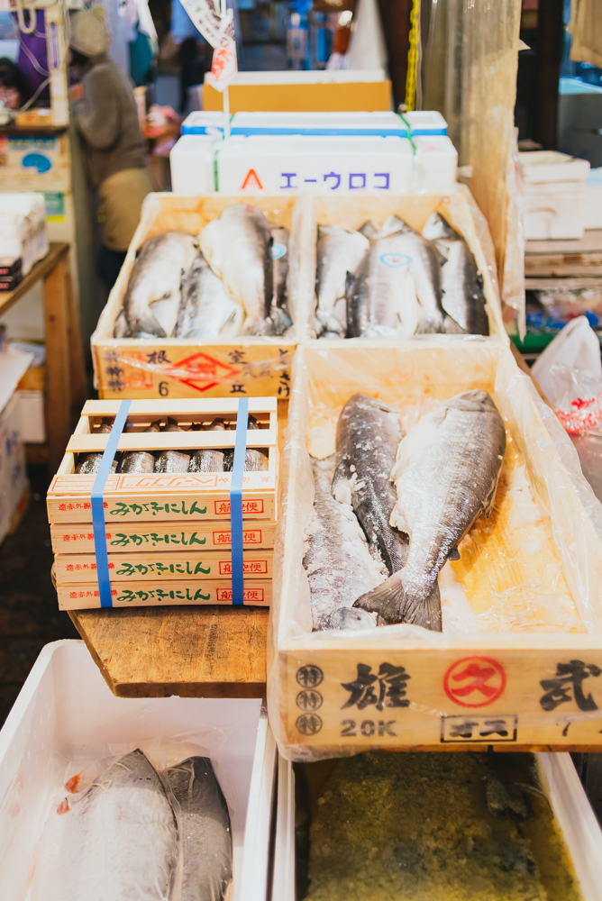 guide_to_the_tsukiji_fish_market