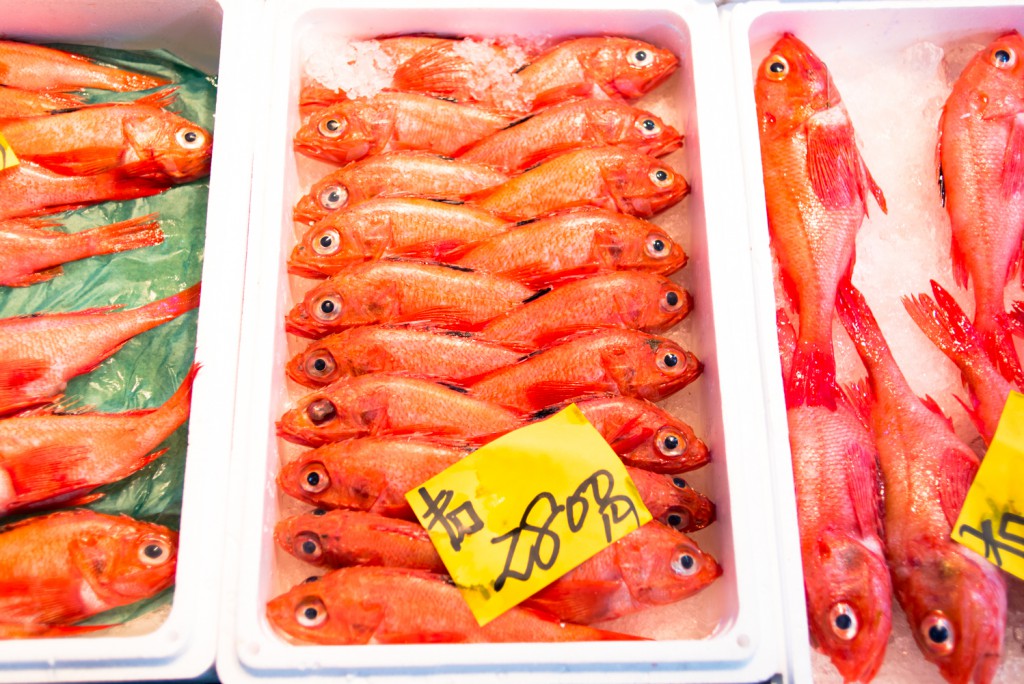 guide_to_the_tsukiji_fish_market