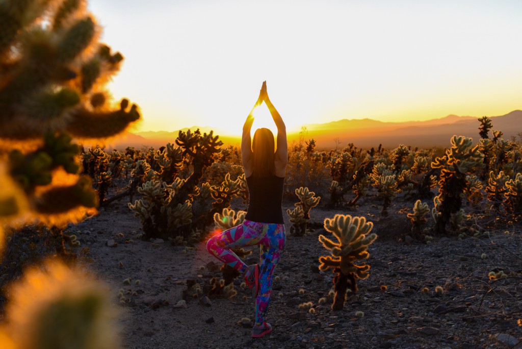 how_to_have_an_epic_weekend_at_joshua_tree_national_park_sunrise