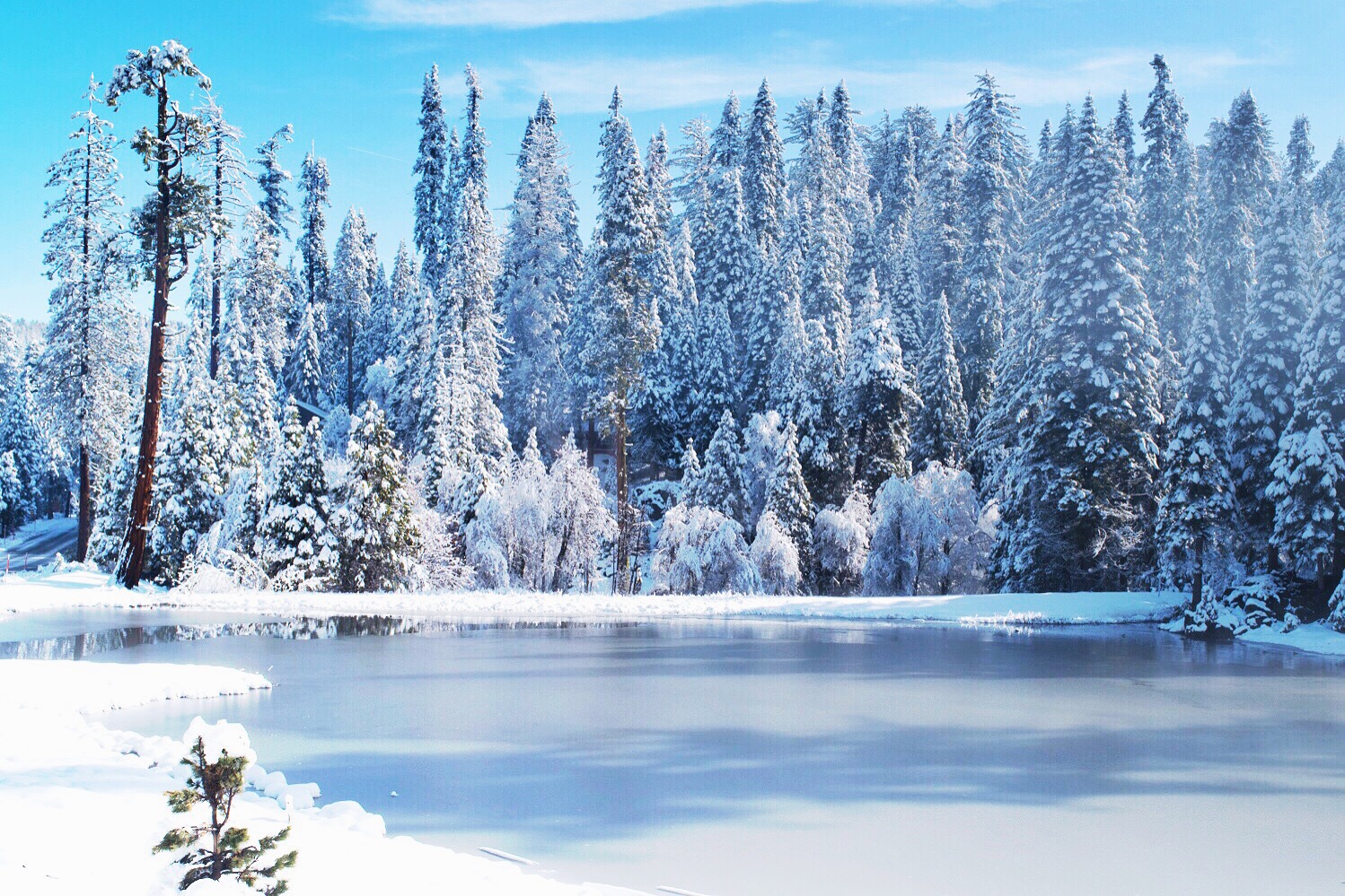 yosemite, snow