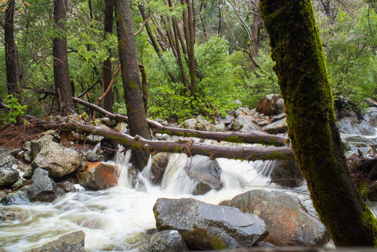 weekend in yosemite, bridalveil falls