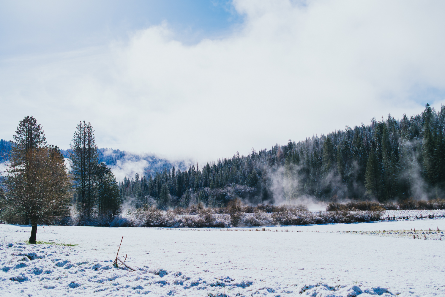 weekend in yosemite, yosemite valley