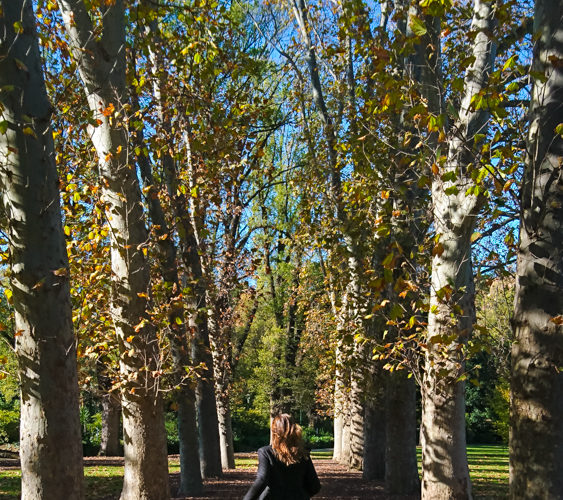 Melbourne autumn