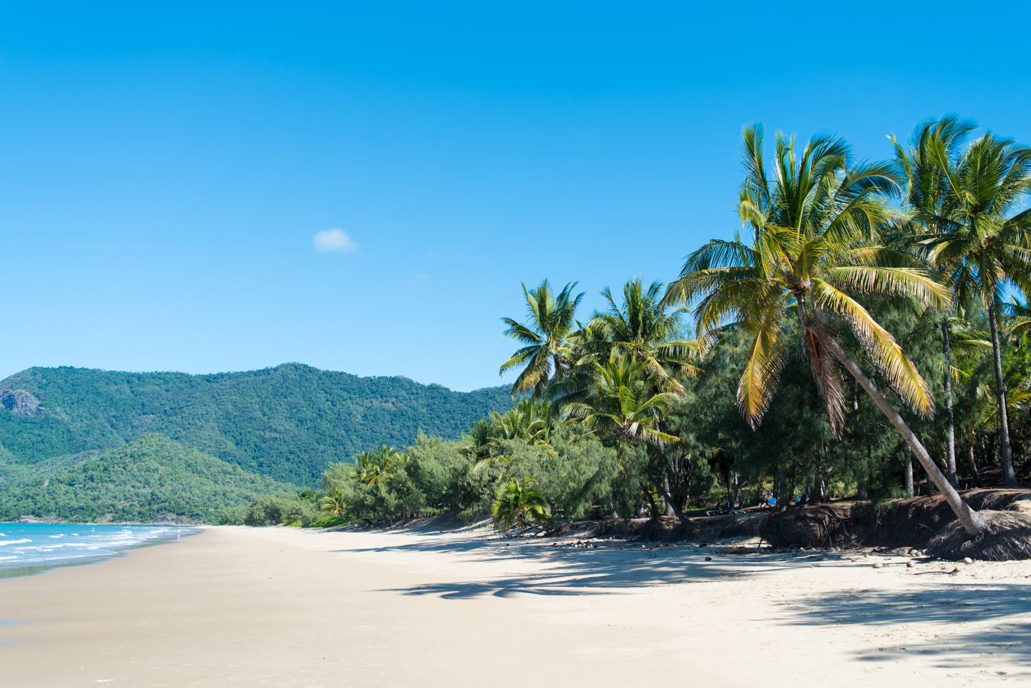 Thala Beach Nature Reserve, Beach