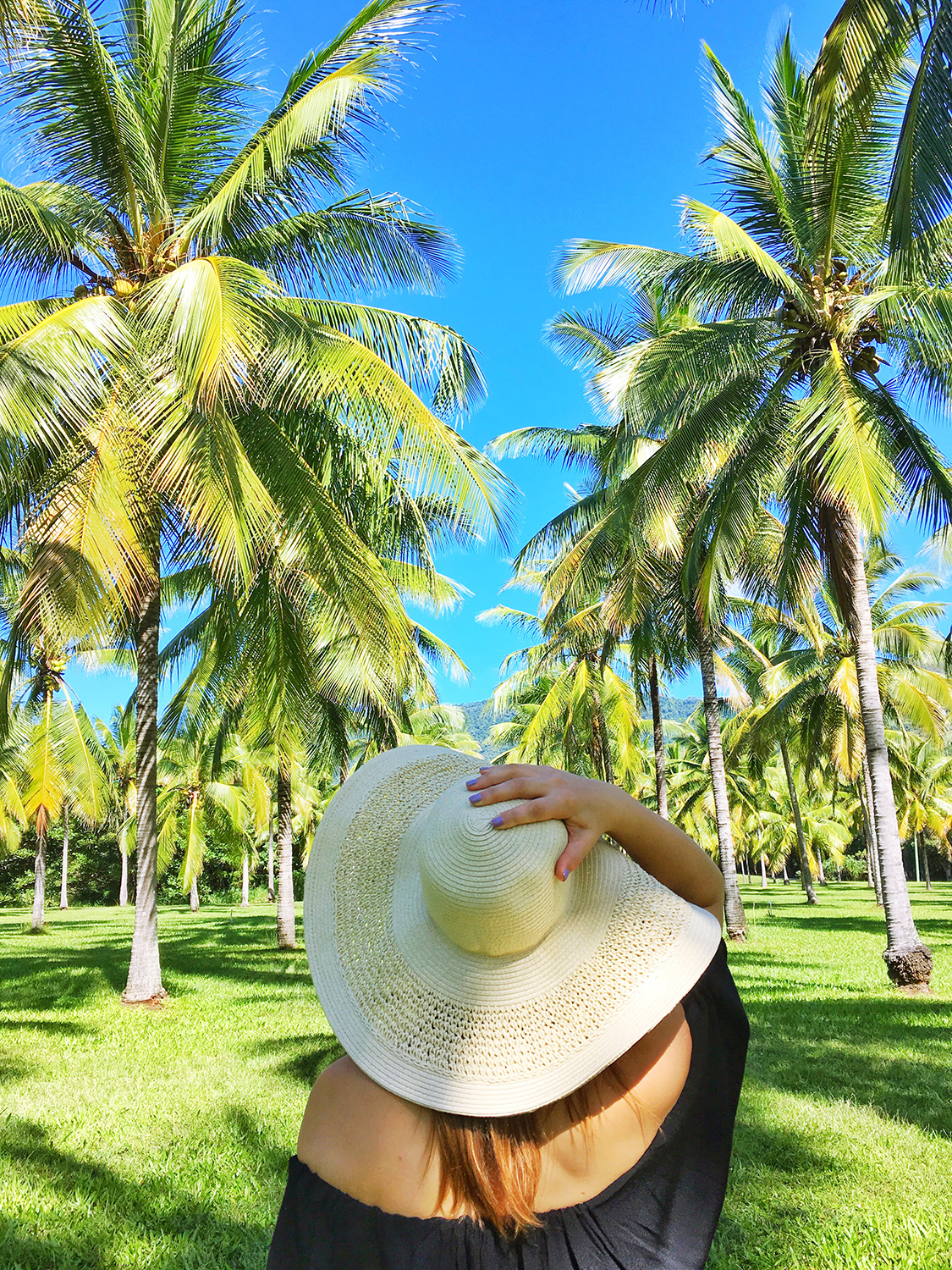 Thala Beach Nature Reserve, Coconut Grove