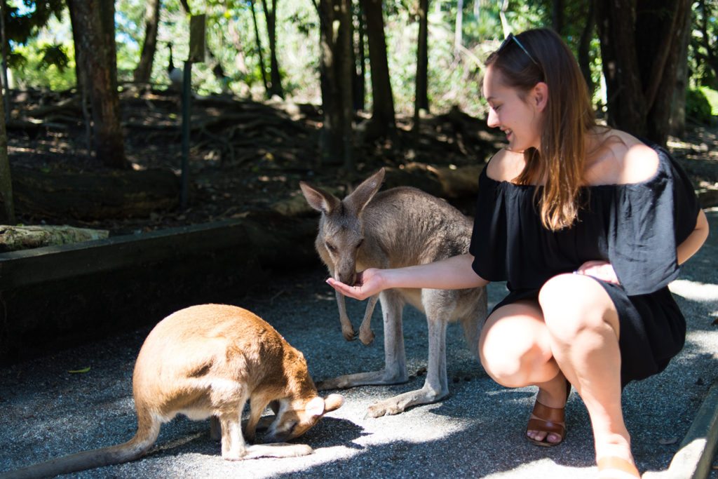 72 Hours in Port Douglas, Wildlife Habitat