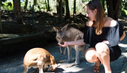 72 Hours in Port Douglas, Wildlife Habitat