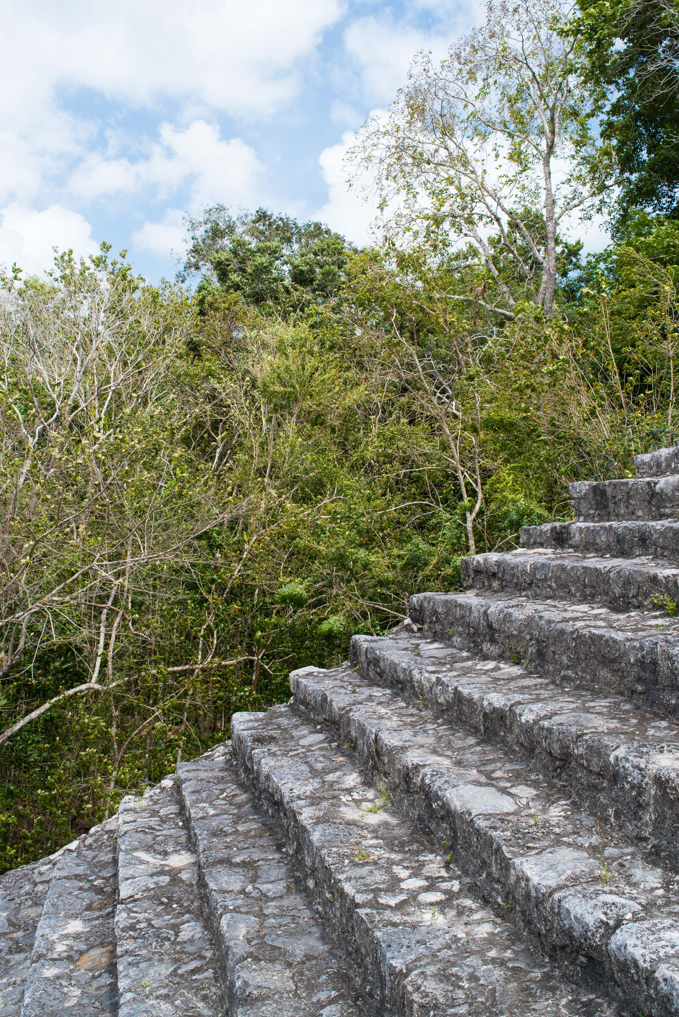 Coba Mayan Pyramid