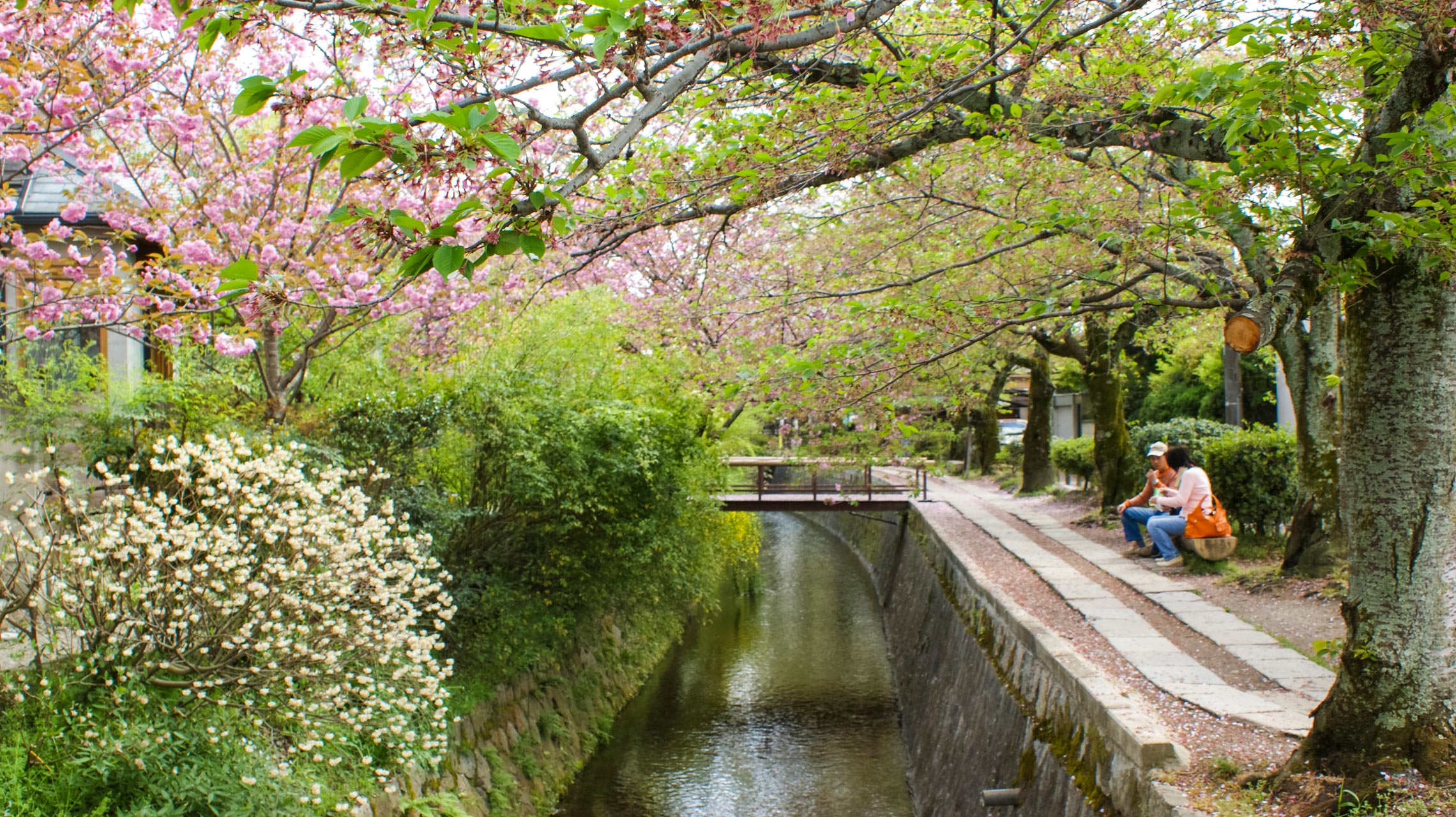 Kyoto, Philosopher's Walk