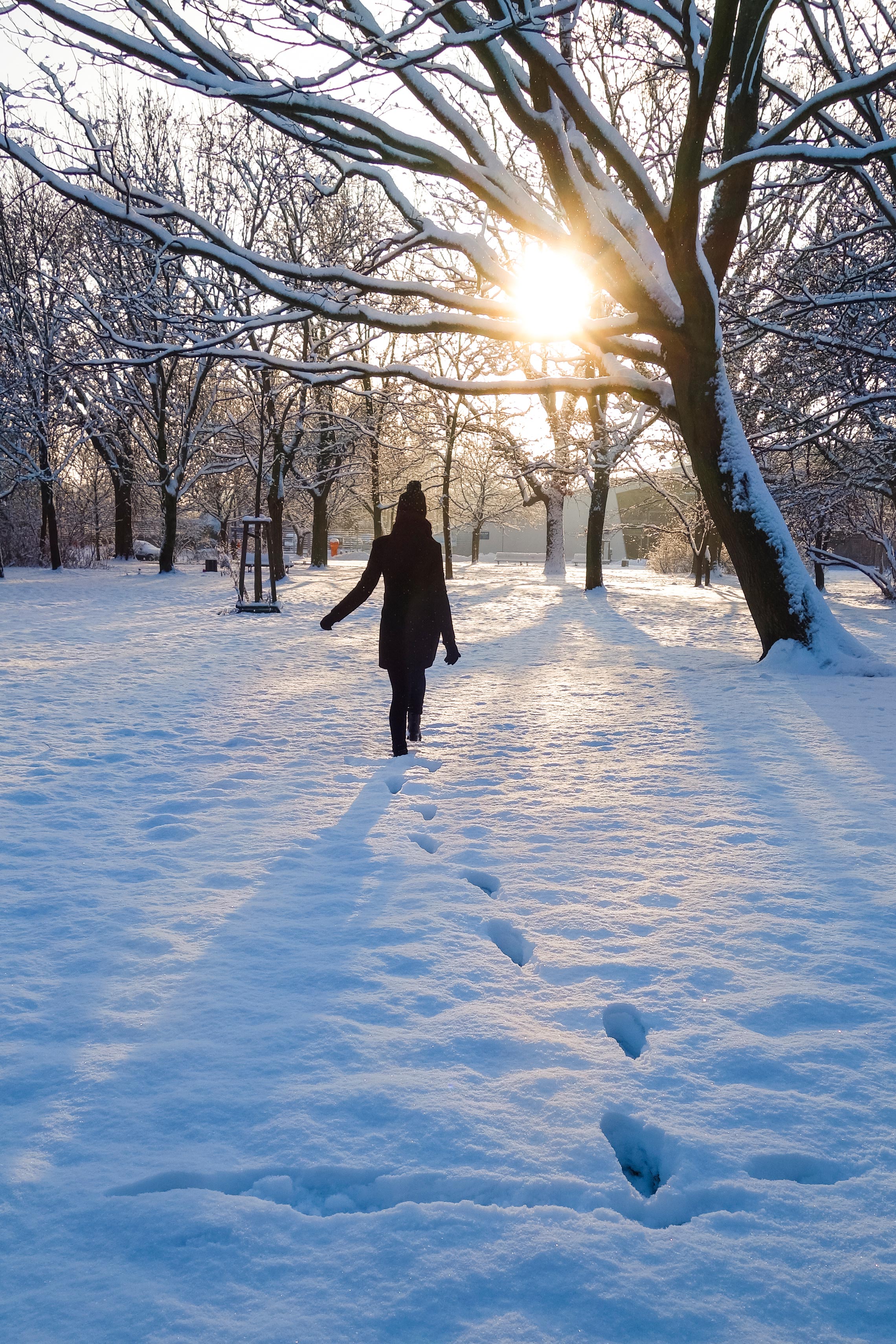 Travelling to Europe in Winter, Snow