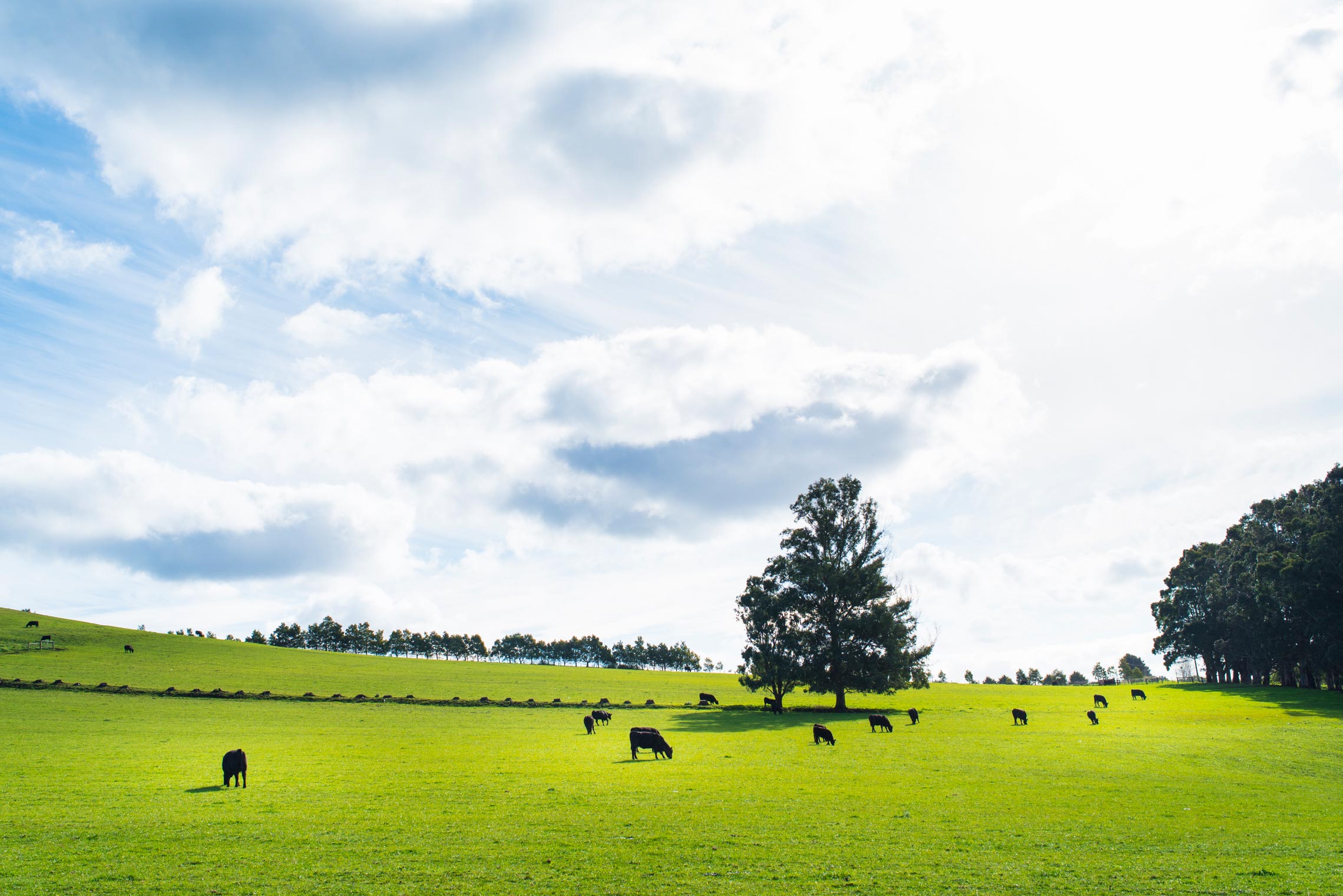 Hepburn Springs Countryside