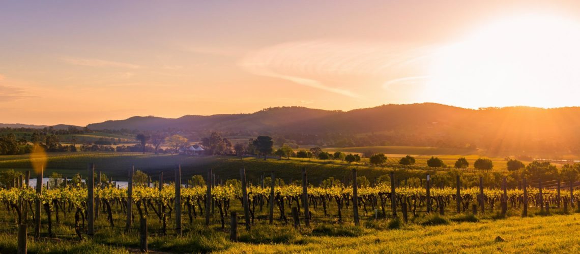 Yarra Valley, Balgownie Estate, Sunset