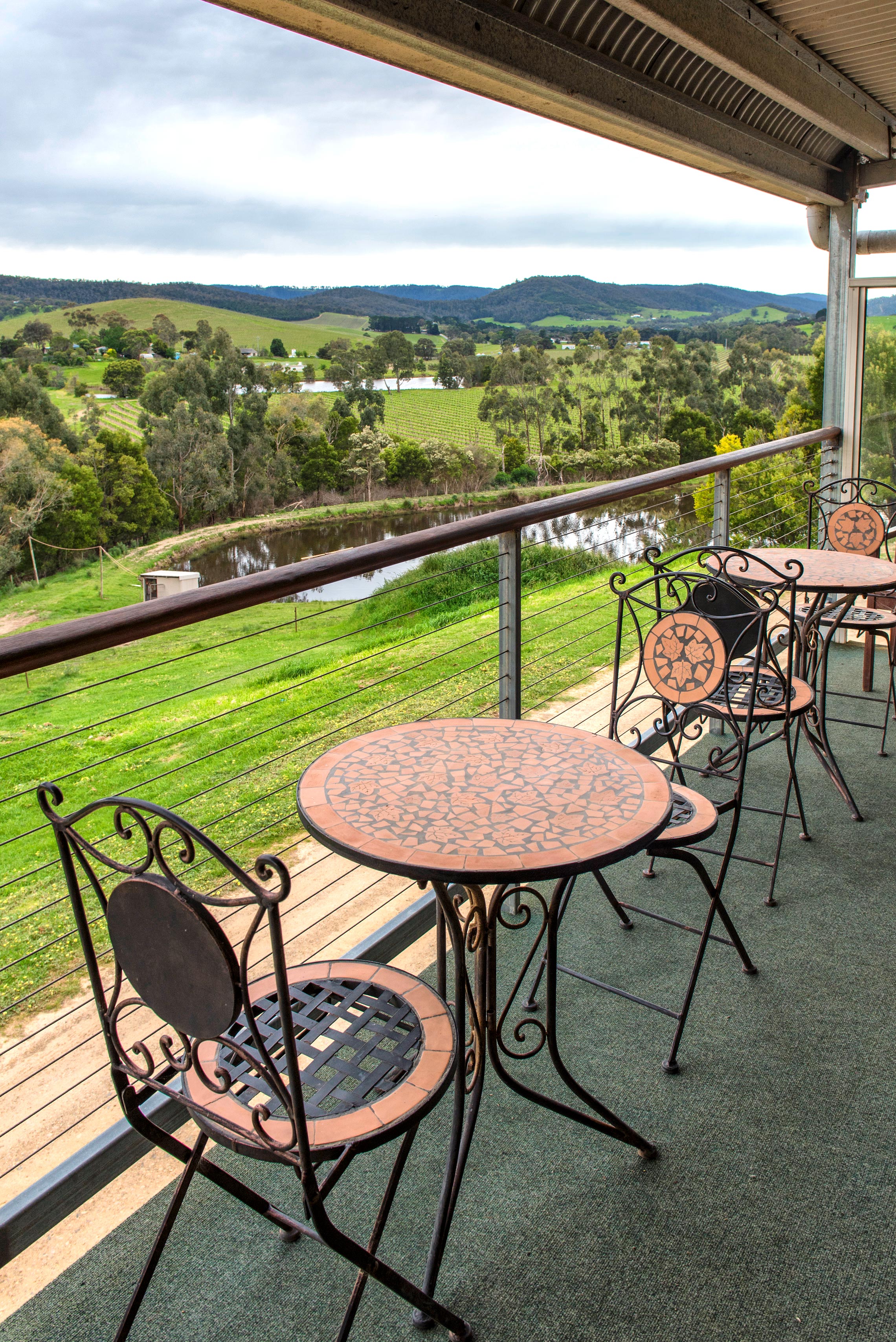 Yarra Valley, Miller's Dixon Creek Estate, View