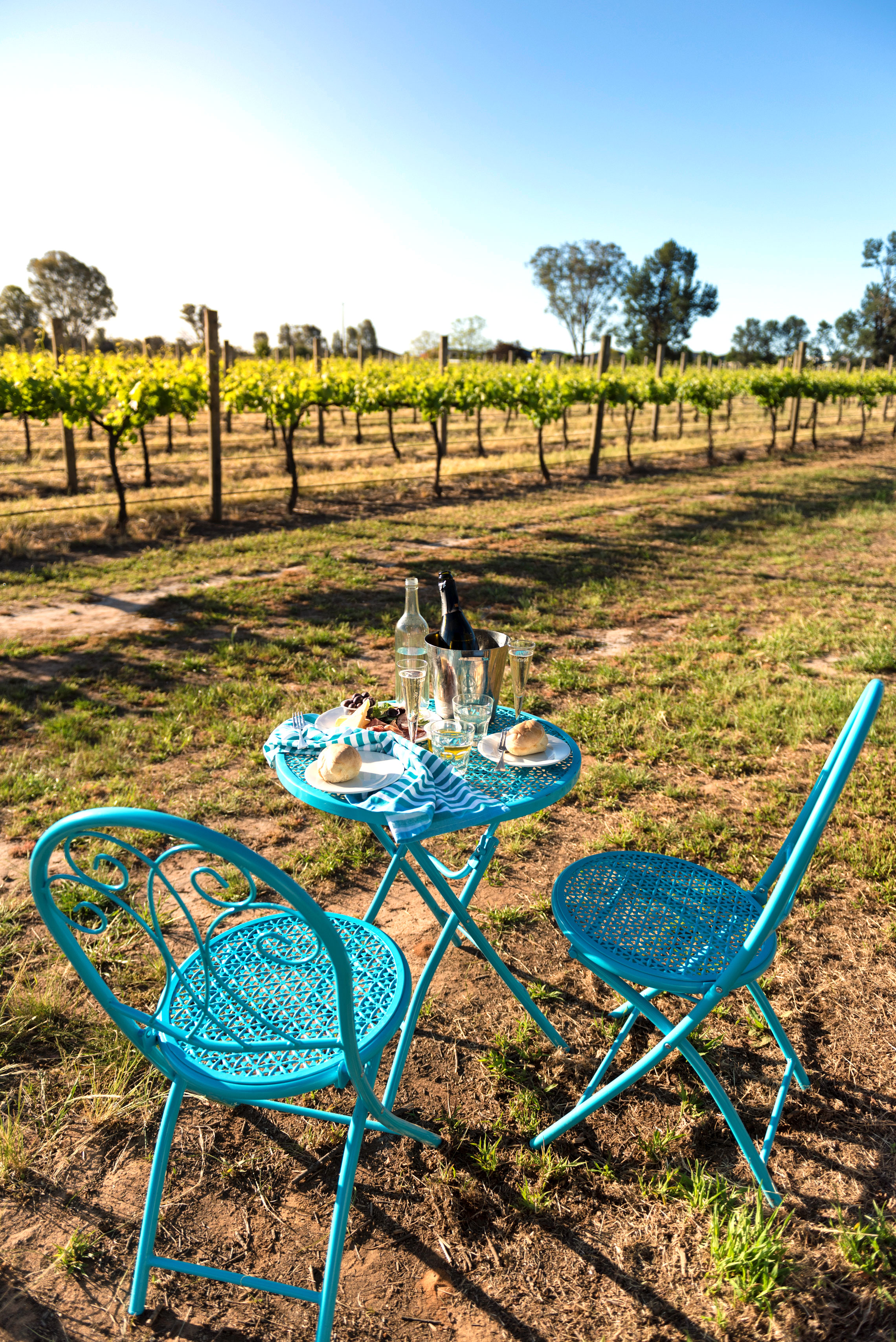 Grapevine Glamping, Cofield Wines, Rutherglen, Dinner Hamper by The Pickled Sisters